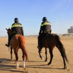 Best things to in Chennai